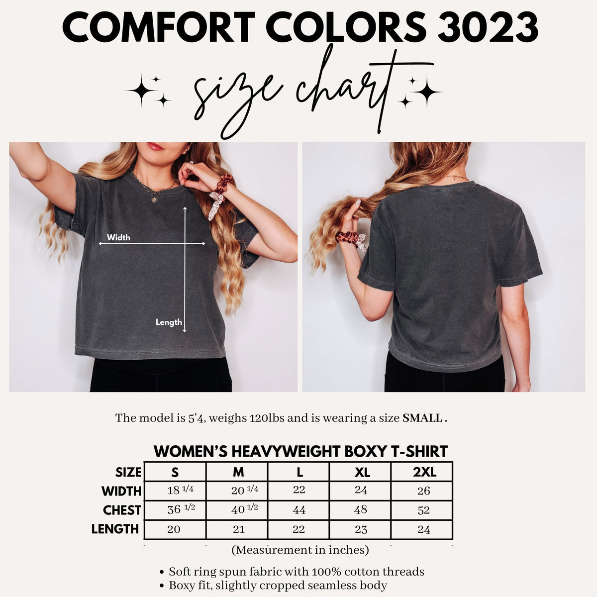 Beach & Books Heavyweight Comfort Colors Boxy Cropped Tee
