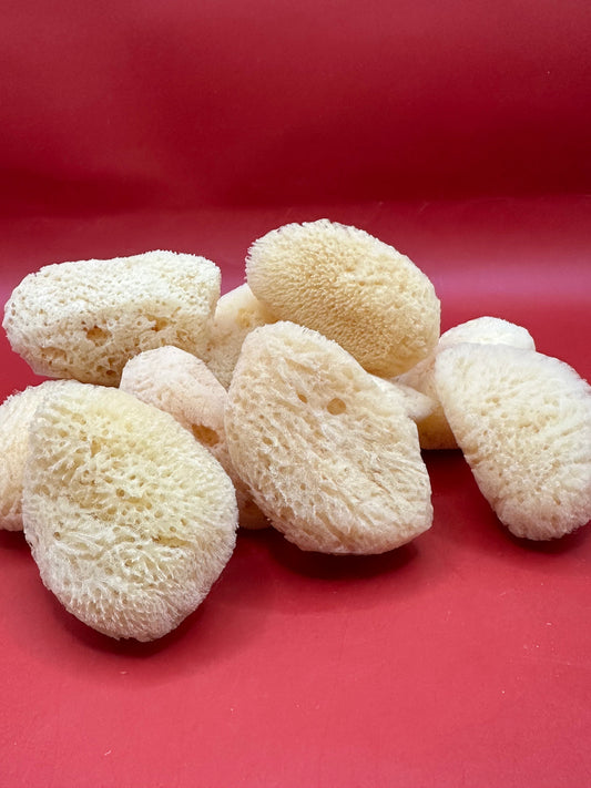 Natural Cosmetic Sea Sponge – 1-3"