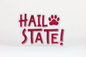Hail State Acrylic Block Shelfie
